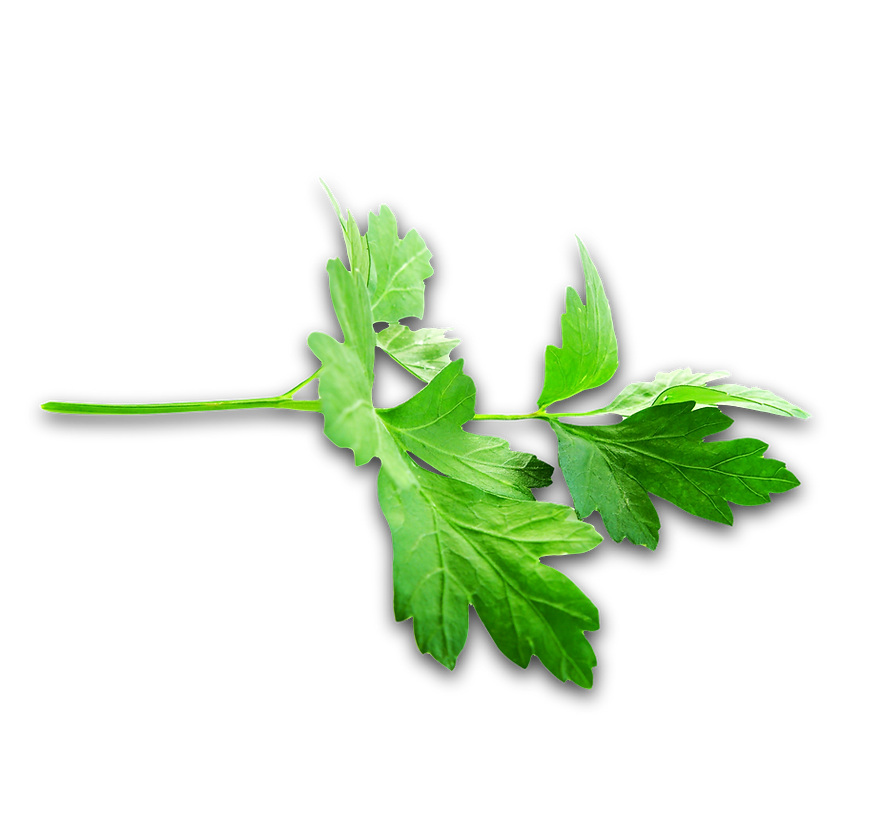 CELERY.png