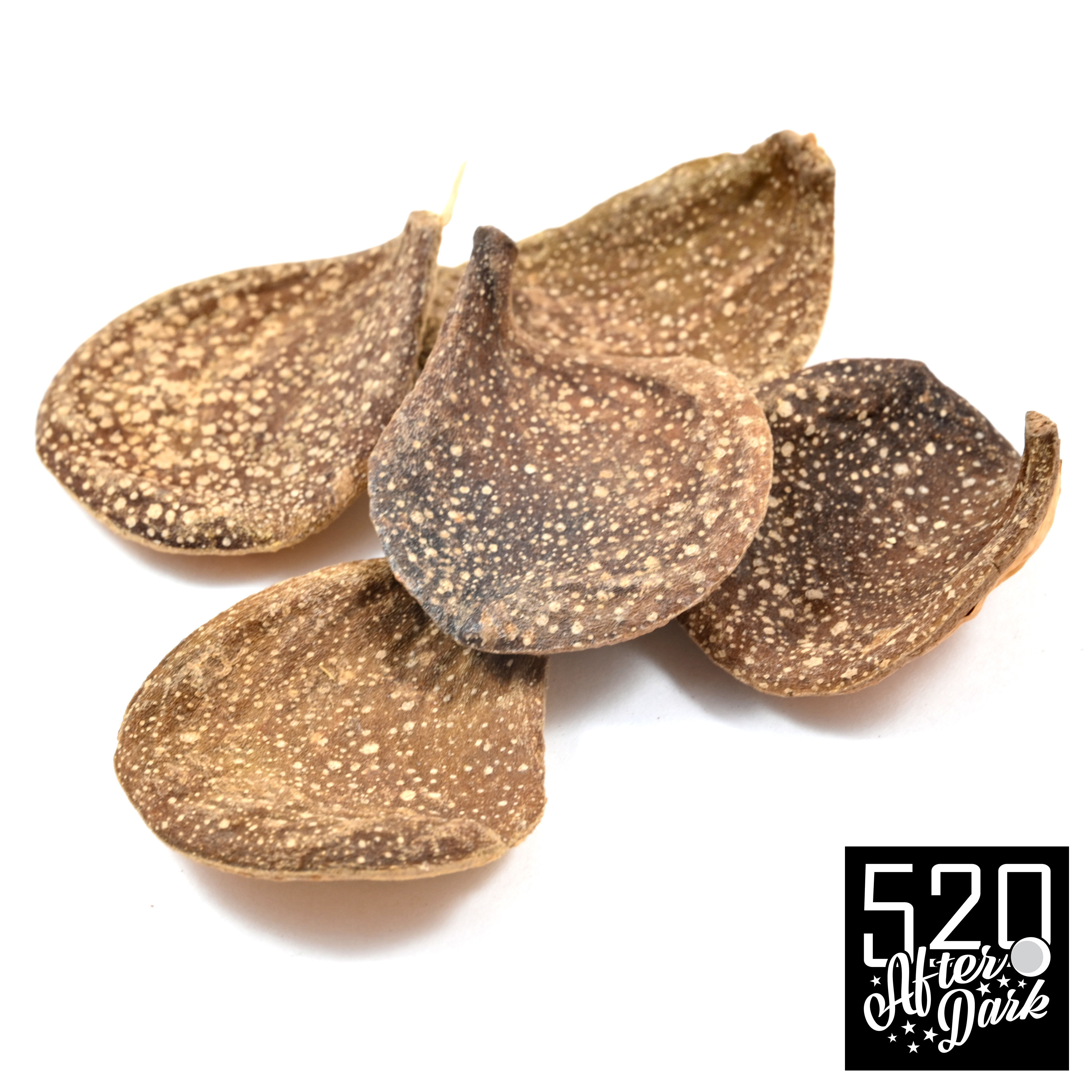 Pyrifolium Pods