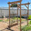 Thumbnail: Arched Trellis + Install
