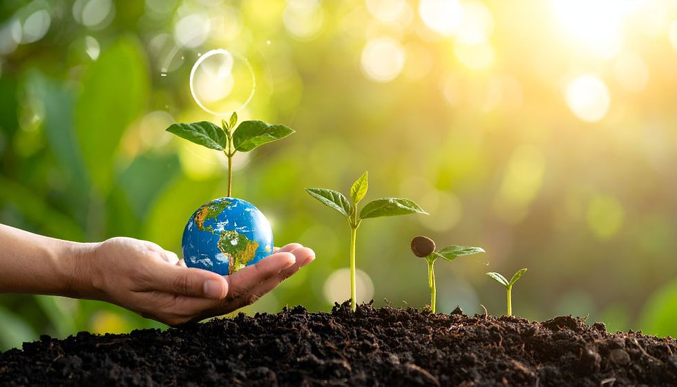 Hand holding small globe of earth with a plant sprouting from it with other plants sprouting behind it