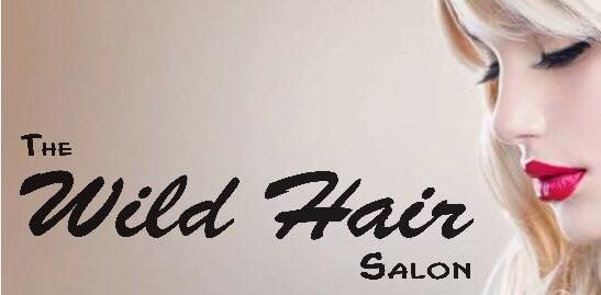 wild hair salon