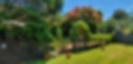 Laymour's Backyard