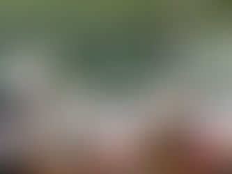 夏休みもあとわずか…