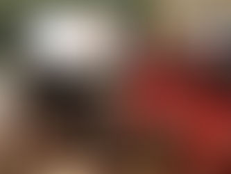 SDGs～調べ学習～発表会