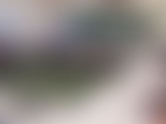 学区議員参観及び懇談