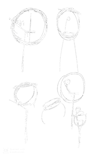 8W.png