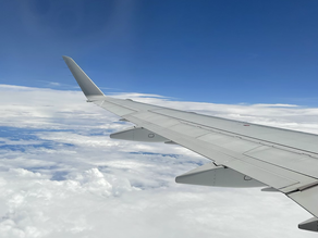 恐る恐る飛び立つ