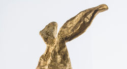 photo by Stephen Takacs