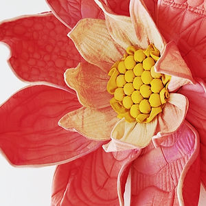 dahlia2_edited.jpg