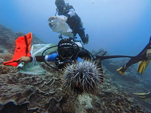 Defending Boracay’s Reefs