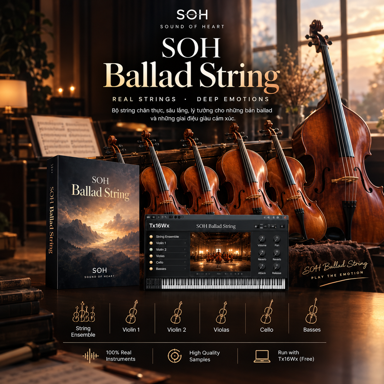SOH Ballad String