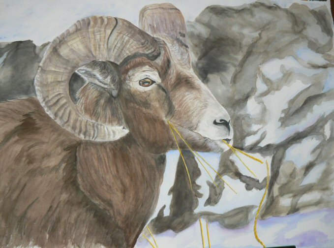BigHorn