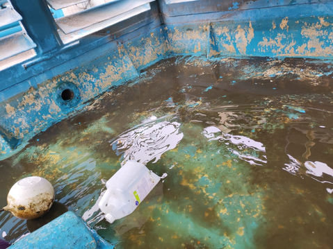 WhatsApp Image 2022-07-28 at 16.55.52.jpeg