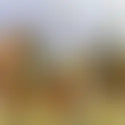 ŞU TÜRKLÜK MESELESİ