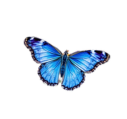 blue butterfly_edited.png
