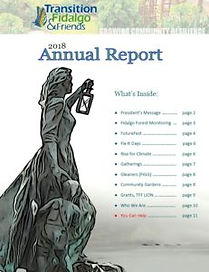 tff-annual-report-cover-231x300.jpg