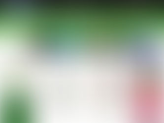 부달 최신 주소 안내 및 지역별 오피 정보 총정리