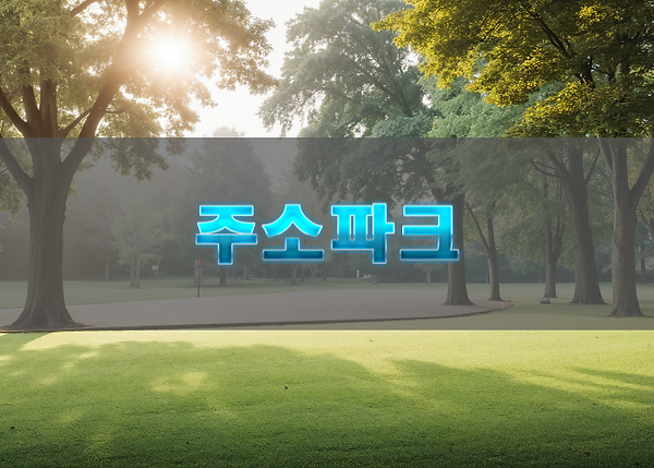 주소파크가 제공하는 정보
