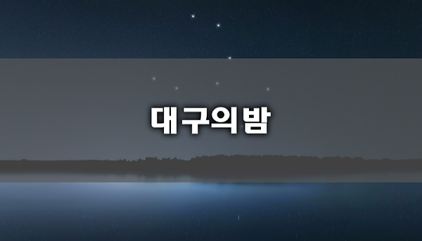 대구의밤 이용가이드