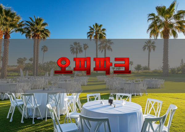 외로운밤 소개