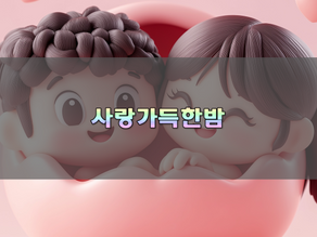 아이러브밤이 있는데 사랑가득한밤은 왜 광주에서 주목받을까?