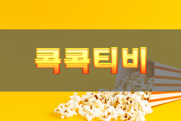 콕콕티비 운영 기준