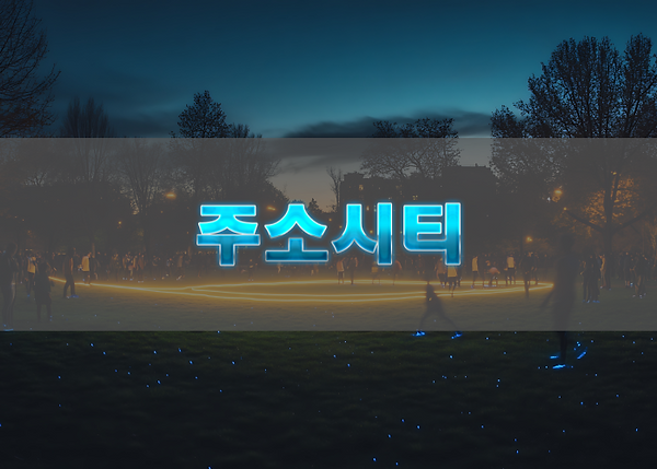주소콘에서 확인할 수 있는 정보 유형