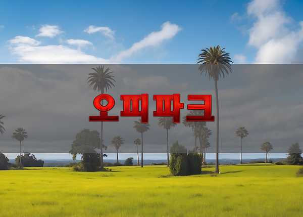 지역별 오피 정보 활용 방법