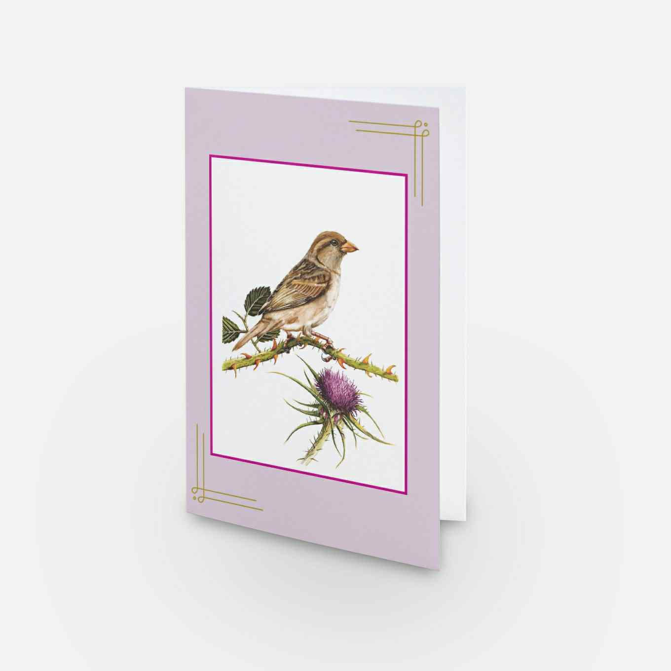 Jess Sparrow Greeting Card