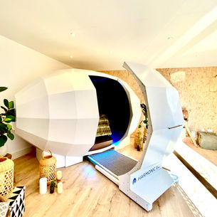HARMONIC EGG