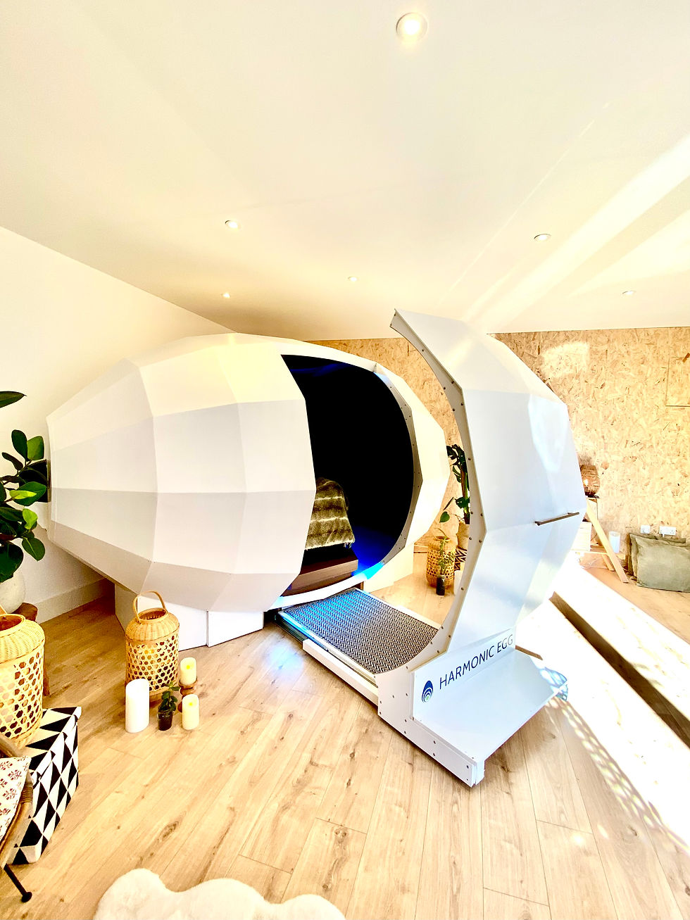 HARMONIC EGG