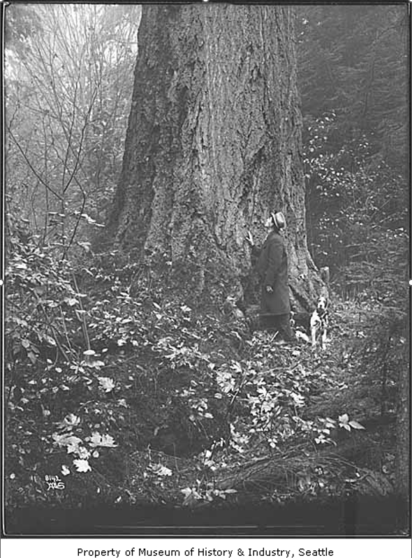 Saturday Speaker Series — The Flora of Seattle in 1850: Major Species and Landscapes Prior to Urbanization