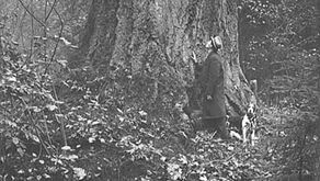 In Step with Ray Larson: ‘The Flora of Seattle in 1850―Major Species and Landscapes Prior to Urbanization’