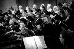 Copy of DSC_0088_edited