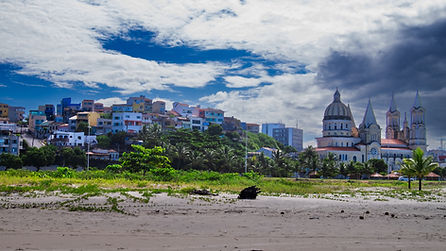 AdobeStock_694032118.jpeg