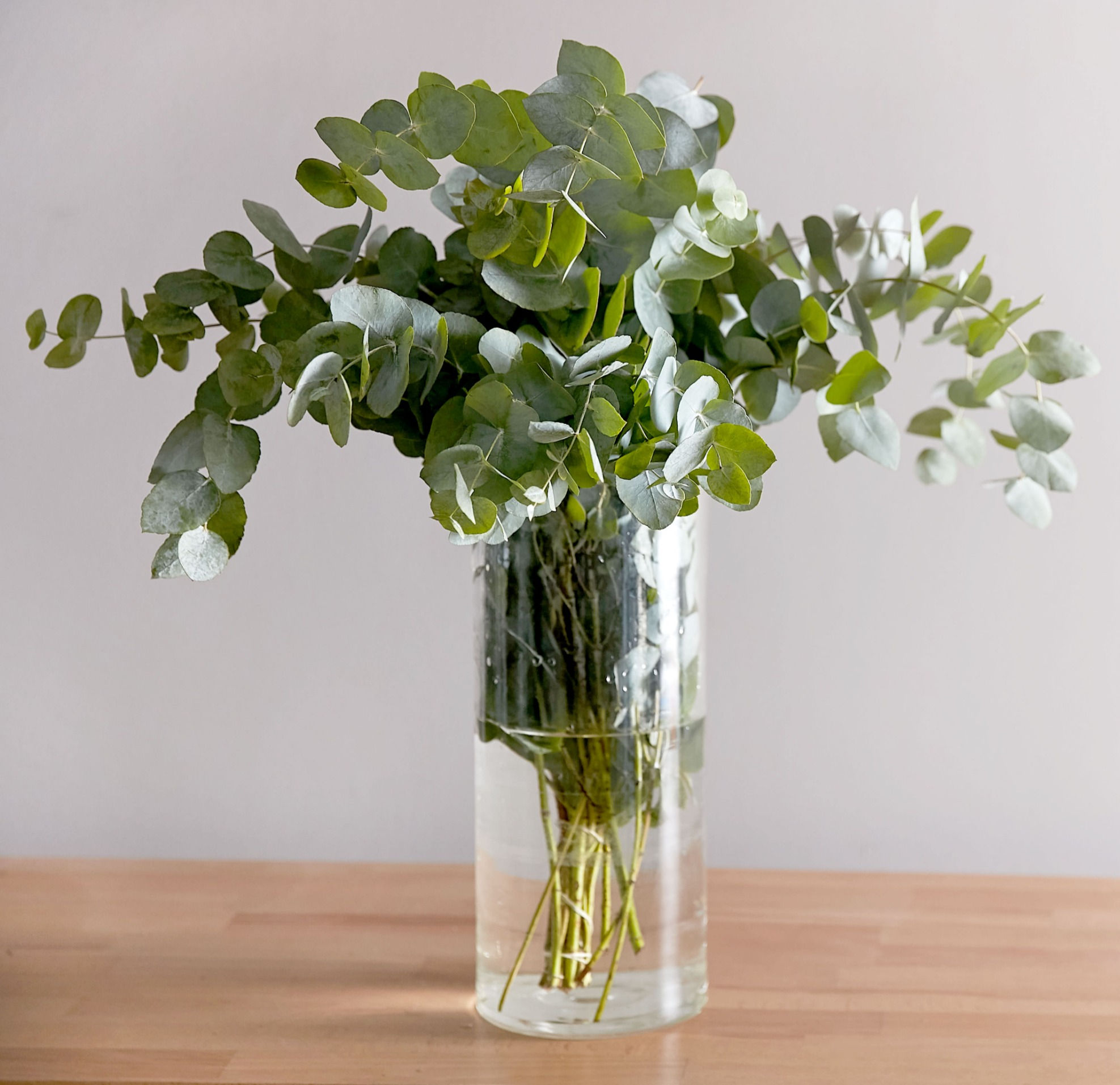 eucalyptus bouquet