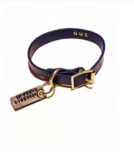 Antigone dog collar making workshop_edited.jpg