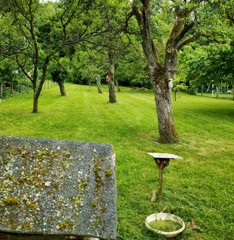 ENTRETIEN DE VOS ESPACES VERTS