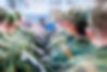 Russian soldiers in a formation, the bac