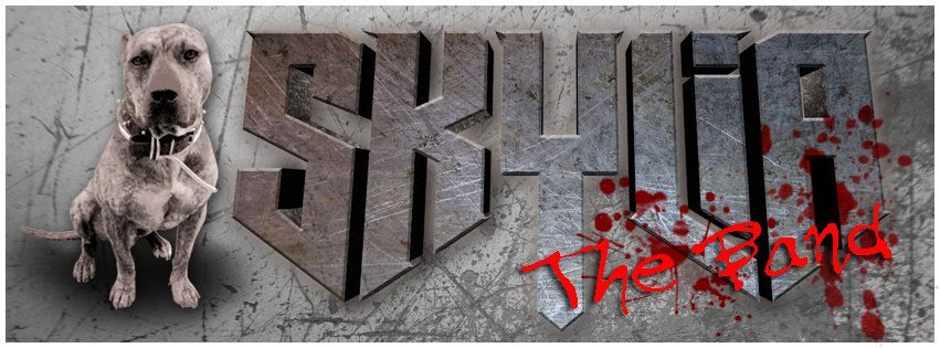 Banner Skylia The Band