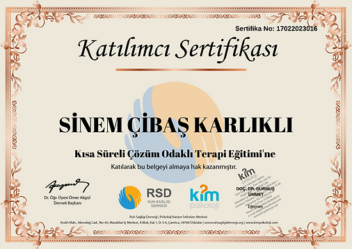 Çözüm Odaklı Terapi