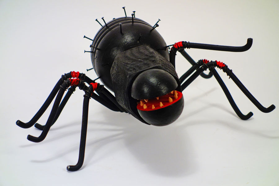 R - Red Knee Tarantula