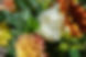 small_PVSS_10-2024_5.jpg