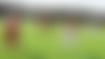 FC Domstadt bezwingt TuSpo Guxhagen 4:1 (0:1)