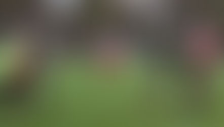 TROTZ VIELZAHL AN CHANCEN: FC DOMSTADT UNTERLIEGT GEGEN SG ENGLIS SPÄT MIT 1:2