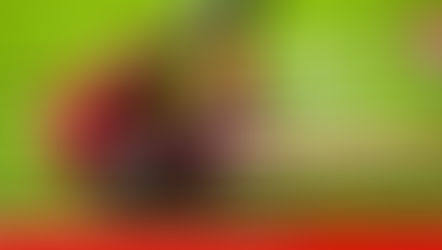 Niederlage für vom Verletzungspech geplagte Domstädter