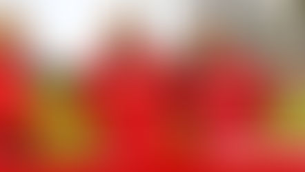 Domstädter stellen Torwarttrainer vor