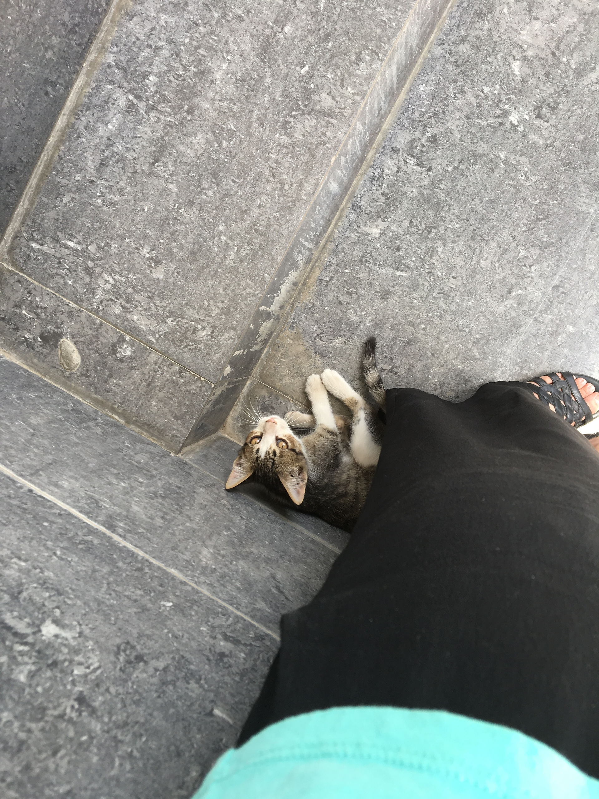 :3