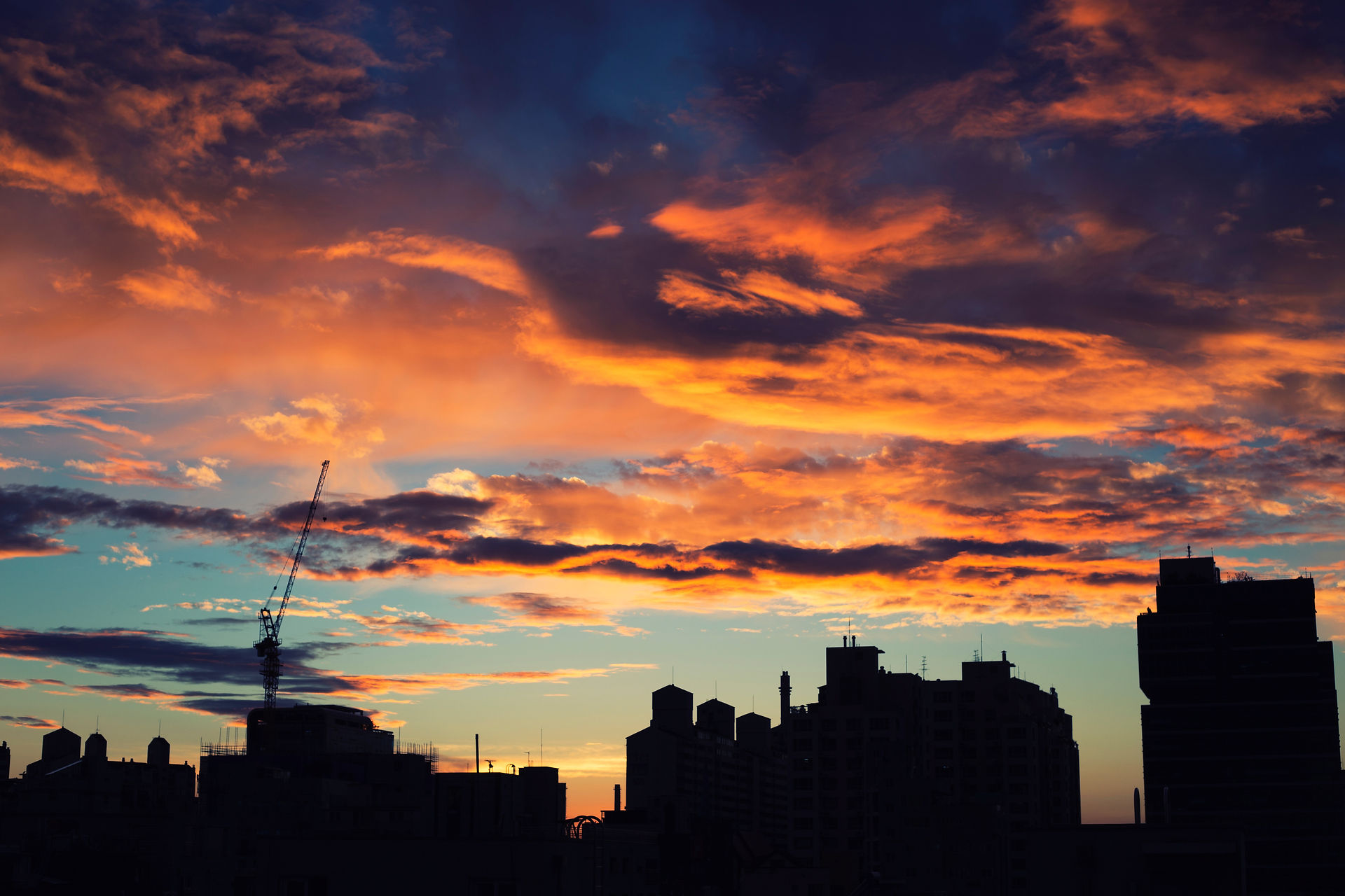 by Jisu Han https://unsplash.com/photos/ilNGtR0v6OA