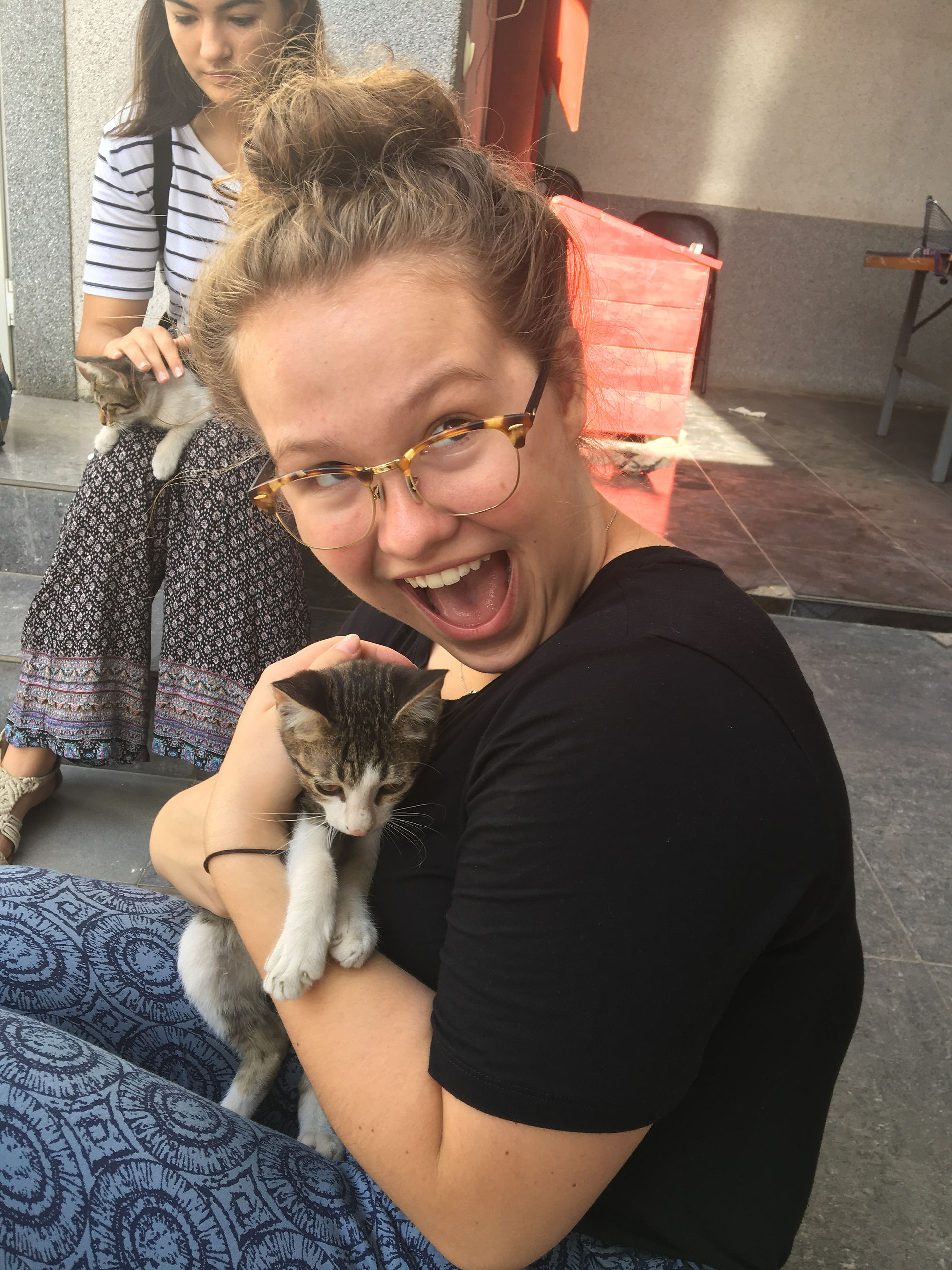 kitties!